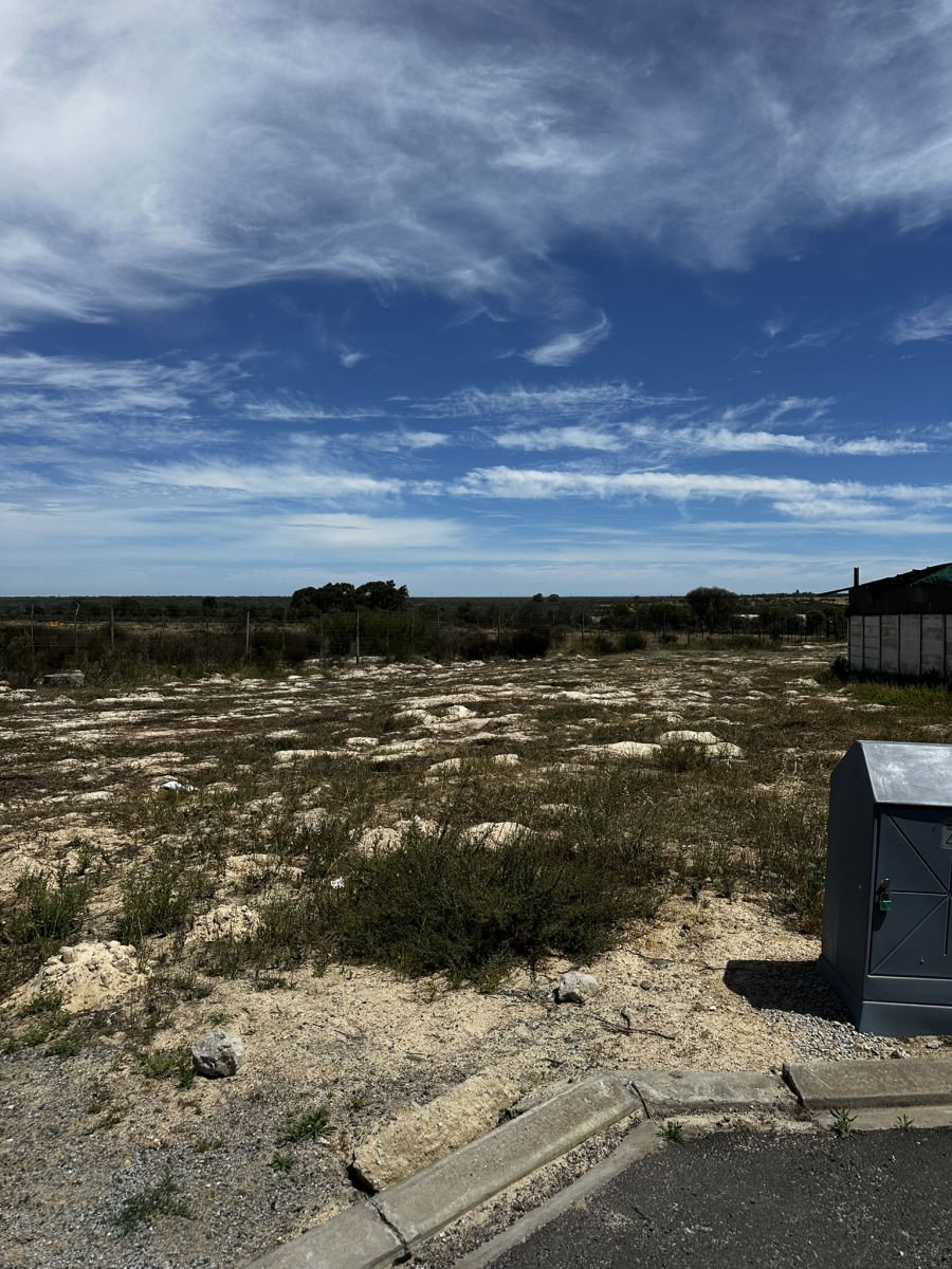 0 Bedroom Property for Sale in Hartebeesfontein Western Cape